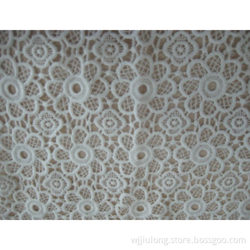 Embroidery Lace for Dresses (SL9868)